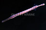 Chinese Trumpetfish :: 32500