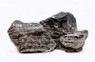 Temple Stone Mix Case :: 0960311