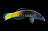 Bicolor Cleaner Wrasse