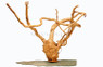 Wood Root with Slate Rock :: 0960580