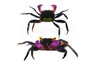 Vampire Crab :: 20105