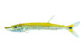 Red Tail Barracuda :: 49521