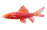 Glo Galactic Purple Shark :: 65503