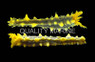 Yellow Sea Cucumber :: 53010