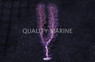 Hardy Knobby Gorgonian :: 51039