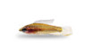 Licorice Blue Line Gourami :: 15662