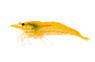 Pumpkin Shrimp :: 20033