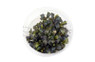 Bucephalandra 'Brownie Purple' Cup AT :: 80760