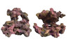 Ecoscape Reef Mix A :: 0960478