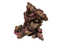 Ecoscape Reef Mix B :: 0960479