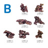 Ecoscape Reef Mix B :: 0960479