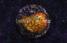 Mayhem Leptastrea :: 62498