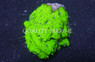 Psammocora Green :: 41715