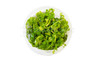 Bacopa monnieri Cup AT :: 69337