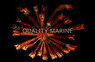 Feather Sea Star :: 59013
