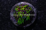 Galaxy, Seaside :: 48126
