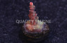 Acropora, Maleficent :: 54085