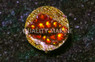 Leptastrea, Burning :: 37915
