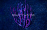 Purple Fan Gorgonian :: 51002