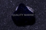 Black Mini Sponge :: 13334