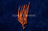 Fan, Orange :: 51001
