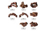 Ecoscape Reef Nano Mix B :: 0960498
