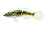 Spangled Goby :: 49844