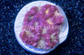 Brain Gold Center w/Red Rim Frag :: 51261