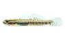 Stiphodon Black Golden :: 13147