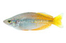 Lake Tebera :: 29805