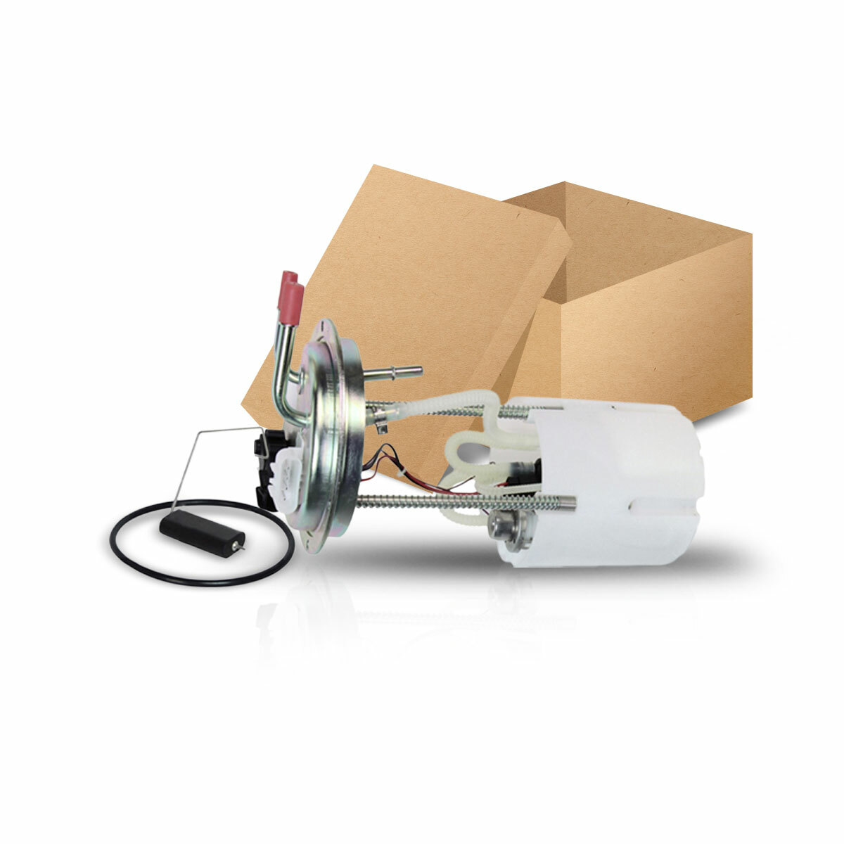 Fuel Pump Module