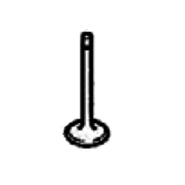 HUSTLER 120176250 - EXHAUST VALVE - HUSTLER genuine Part Number 120176250