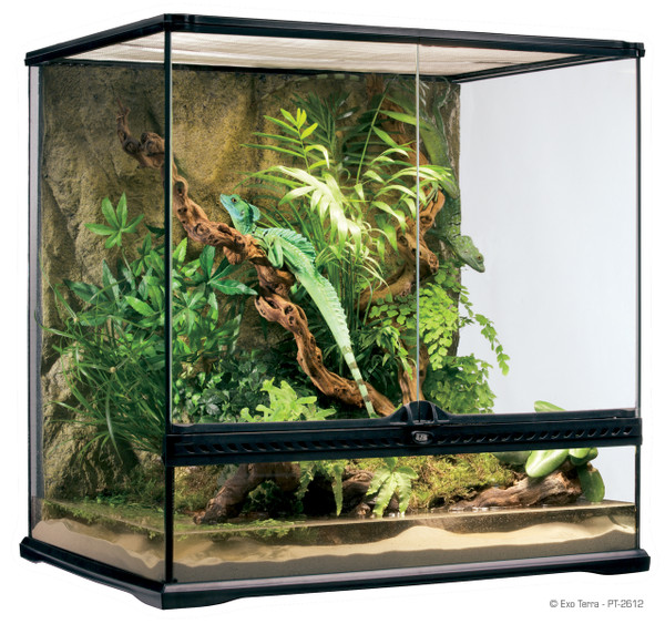 Exo Terra Natural Terrarium Medium 60 x 45 x 60 cm / 24” x 18” x 24”)