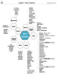 ​Birth - New Vocabulary Learning for English Learners