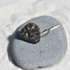 Custom Turritella Tie Tack Handmade - Quantity of 1