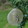 Sea Horse Christmas Ornament