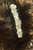 Moonstone Hair Combs