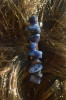 Sodalite Stone French Barrette 