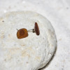 Tiny Brown Surf Tumbled Sea Glass Earrings
