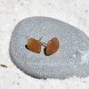 Small Brown Sea Glass Earrings