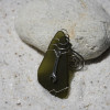 Wrench Charm on a Surf Tumbled Sea Glass Ornament Perfect for a Mechanic or Plumber - Choose Your Color Sea Glass Frosted, Green, and Brown - Made to Order
