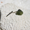 Surf Tumbled Olive Green Sea Glass Tie Tack