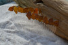 Brown Beach Glass Hair Combs