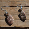 Leopard Skin Stone Earrings