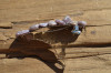 Lepidolite Stone French Barrette