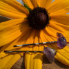 Amethyst Stone Hair Pins 