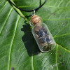 Turritella Stones in a Glass Vial on a Leather Cord Necklace