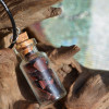 Red Tiger's Eye Stones in a Glass Vial on a Leather Cord Necklace