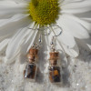 Tiger's Eye Stones in Delicate Glass Vial Earrings - Made to Order