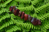 Brecciated Jasper Stone French Barrette Hair Clip